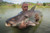 Jual Poster TV Show River Monsters APC 003