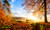 jual poster pemandangan musim gugur autumn 168