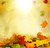 jual poster pemandangan musim gugur autumn 170