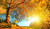 jual poster pemandangan musim gugur autumn 174