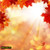 jual poster pemandangan musim gugur autumn 180