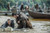 Jual Poster TV Show Vikings APC 093