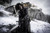 Jual Poster jon snow kit harington game of thrones 001WPS