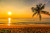 jual poster pemandangan pantai beach 157
