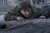 Jual Poster Harry Potter Harry Potter Harry Potter and the Deathly Hallows Part 2 APC003