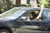 Jual Poster Bad Moms Carla (Bad Moms) Kathryn Hahn Movie Bad Moms APC003