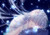 Poster Anastasia (Fate Grand Order) Fate Series Fate Grand Order APC003