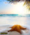 jual poster pemandangan pantai beach 581