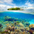 jual poster pemandangan terumbu karang coralreef 012