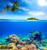 jual poster pemandangan terumbu karang coralreef 013