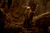 Jual Poster Gandalf Ian McKellen The Lord of the Rings The Lord of the Rings The Fellowship of the Ring 86190 APC