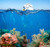 jual poster pemandangan terumbu karang coralreef 059
