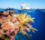 jual poster pemandangan terumbu karang coralreef 063