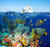 jual poster pemandangan terumbu karang coralreef 065