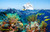jual poster pemandangan terumbu karang coralreef 076