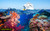 jual poster pemandangan terumbu karang coralreef 077