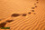 jual poster pemandangan padang pasir gurun desert 027