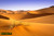 jual poster pemandangan padang pasir gurun desert 036