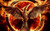 Jual Poster Fire Mockingjay The Hunger Games The Hunger Games The Hunger Games Mockingjay Part 1 APC