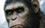 Jual Poster Movie Dawn of the Planet of the Apes APC004