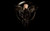 Jual Poster The Hunger Games The Hunger Games Mockingjay Part 1 APC001