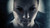 Jual Poster Movie The Devil's Hand APC