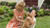Jual Poster A Dog's Purpose Movie A Dog's Purpose APC011