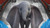 Jual Poster Dumbo Movie Dumbo (2019) APC