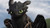 Jual Poster Toothless (How to Train Your Dragon) How to Train Your Dragon How to Train Your Dragon The Hidden World1 APC