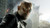 Jual Poster Nick Fury Samuel L. Jackson The Avengers Avengers Age of Ultron APC