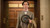 Jual Poster Simon Helberg Movie Florence Foster Jenkins APC