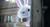 Jual Poster Movie The Secret Life of Pets APC005