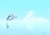 Poster Anime A Certain Magical Index APC008