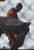 Jual Poster Film mustang