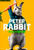 Jual Poster Film peter rabbit ver27