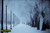 jual poster pemandangan musim salju dingin winter 050
