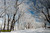 jual poster pemandangan musim salju dingin winter 058