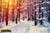 jual poster pemandangan musim salju dingin winter 116