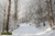 jual poster pemandangan musim salju dingin winter 182