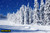 jual poster pemandangan musim salju dingin winter 282