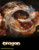 Jual Poster Film eragon (ja2uyvxs)