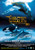Jual Poster Film dolphins and whales 3d tribes of the ocean (jumpyg9b)