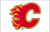 Jual Poster Calgary Flames Hockey Calgary Flames APC006186