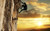 Jual Poster Climbing Man Sun Sports Climbing APC