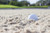 Jual Poster Close Up Golf Sand Golf Golf APC