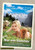 Jual Poster Film nur ein sommer german (qldl218x)