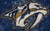 Jual Poster Emblem Logo NHL Nashville Predators Hockey Nashville Predators APC005