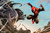 Jual Poster Spider Man Spider Man7 APC009