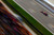 Jual Poster Racing F1 APC134