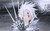 Poster Anime D.Gray man APC001